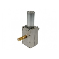 Moteur 24V