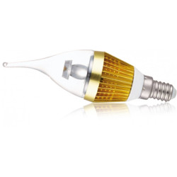 Ampoules LED