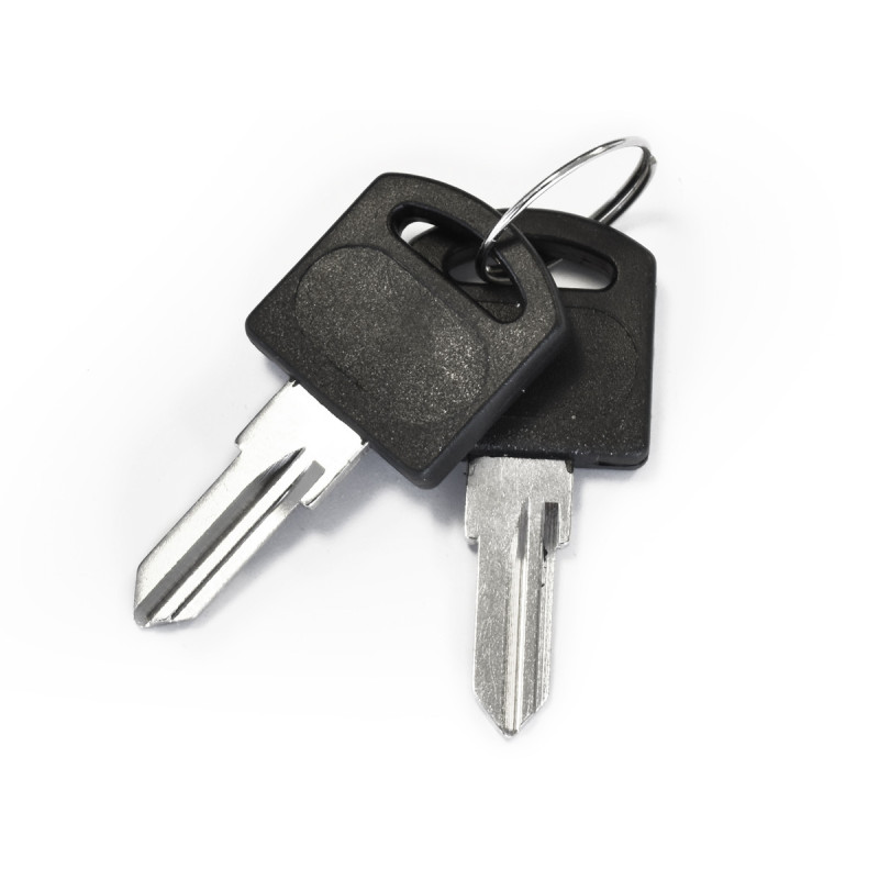 Lote de 2 llaves - KeyGate