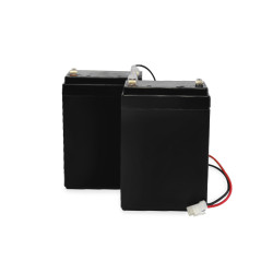 Batteries de secours professionnelles pour portail motorisé battant