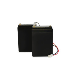 Reconditionné - Kit 2 batteries secours