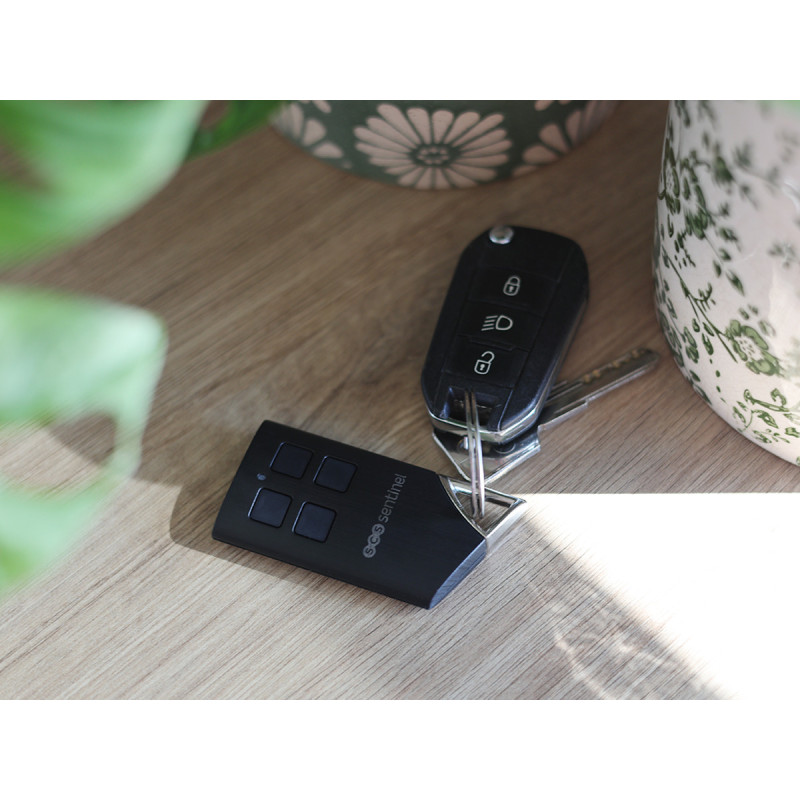 Télécommande additionnelle professionnelle - Télécommande 4 canaux